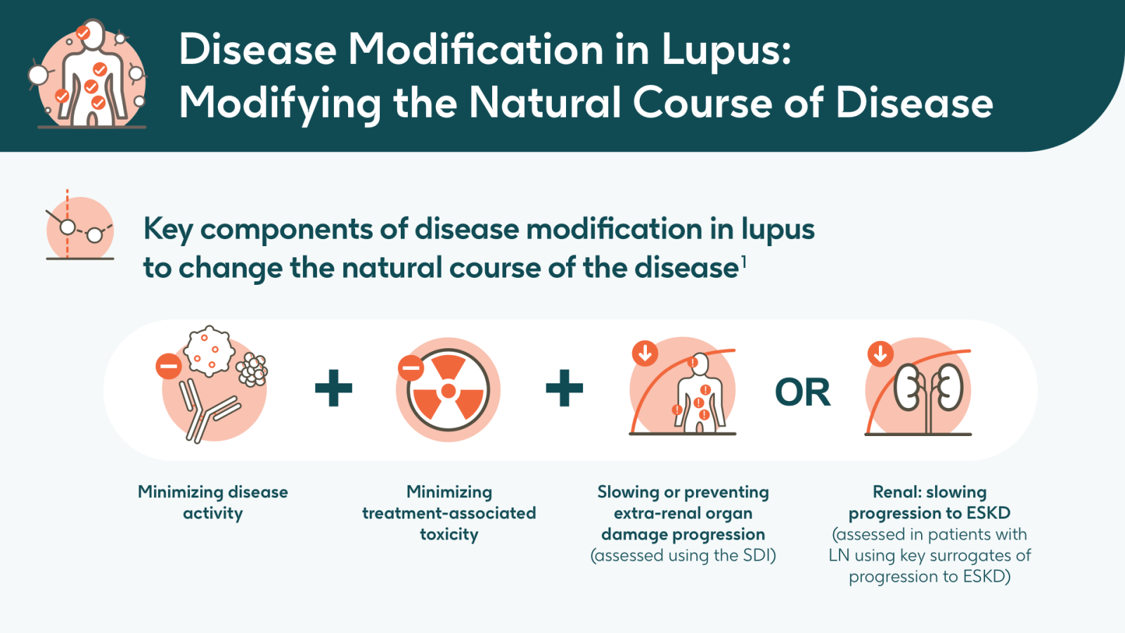 Lupus Infographic