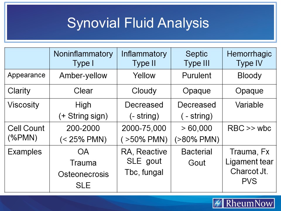 functions of synovial fluid