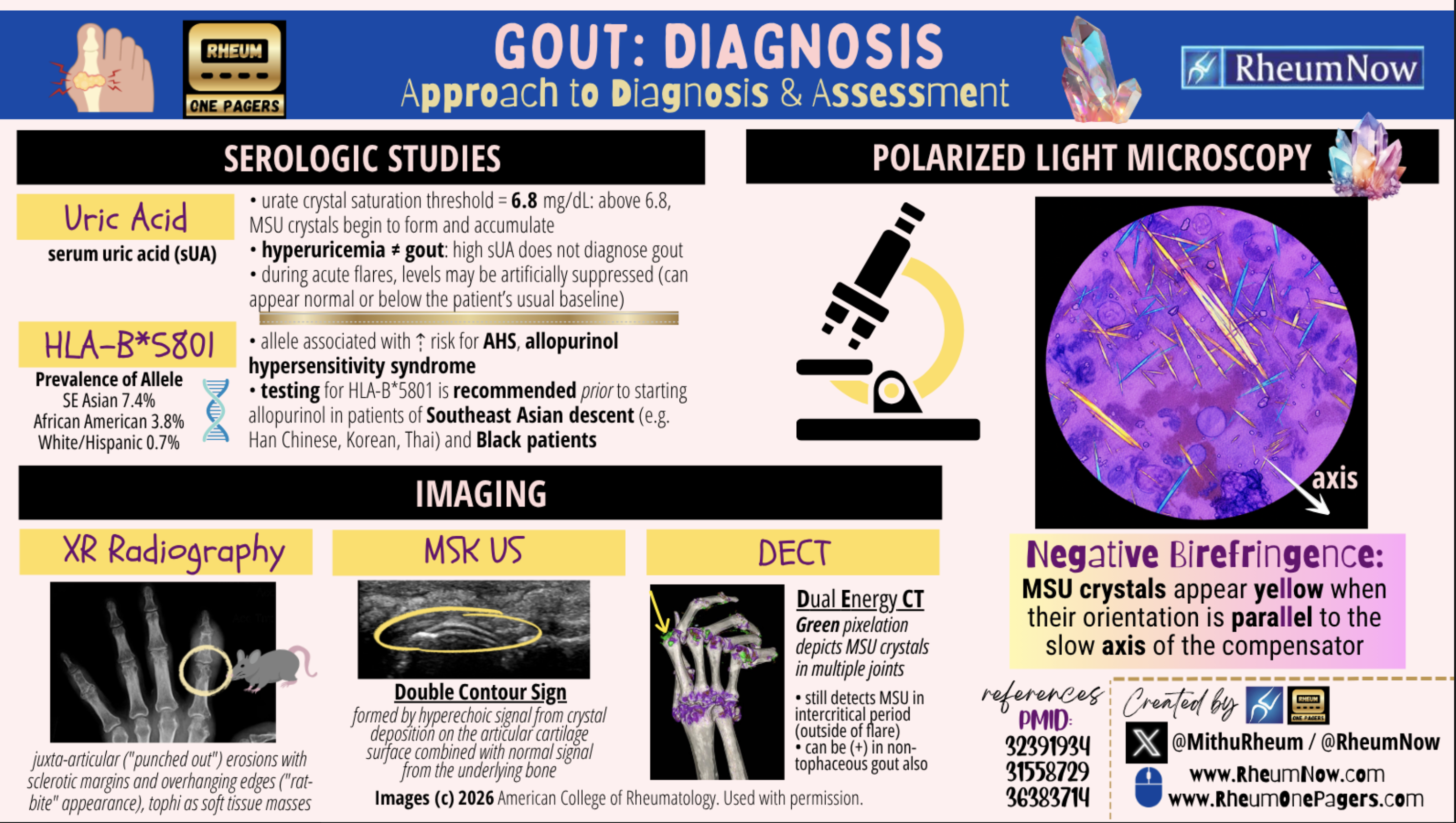 Gout Diagnosis Cover