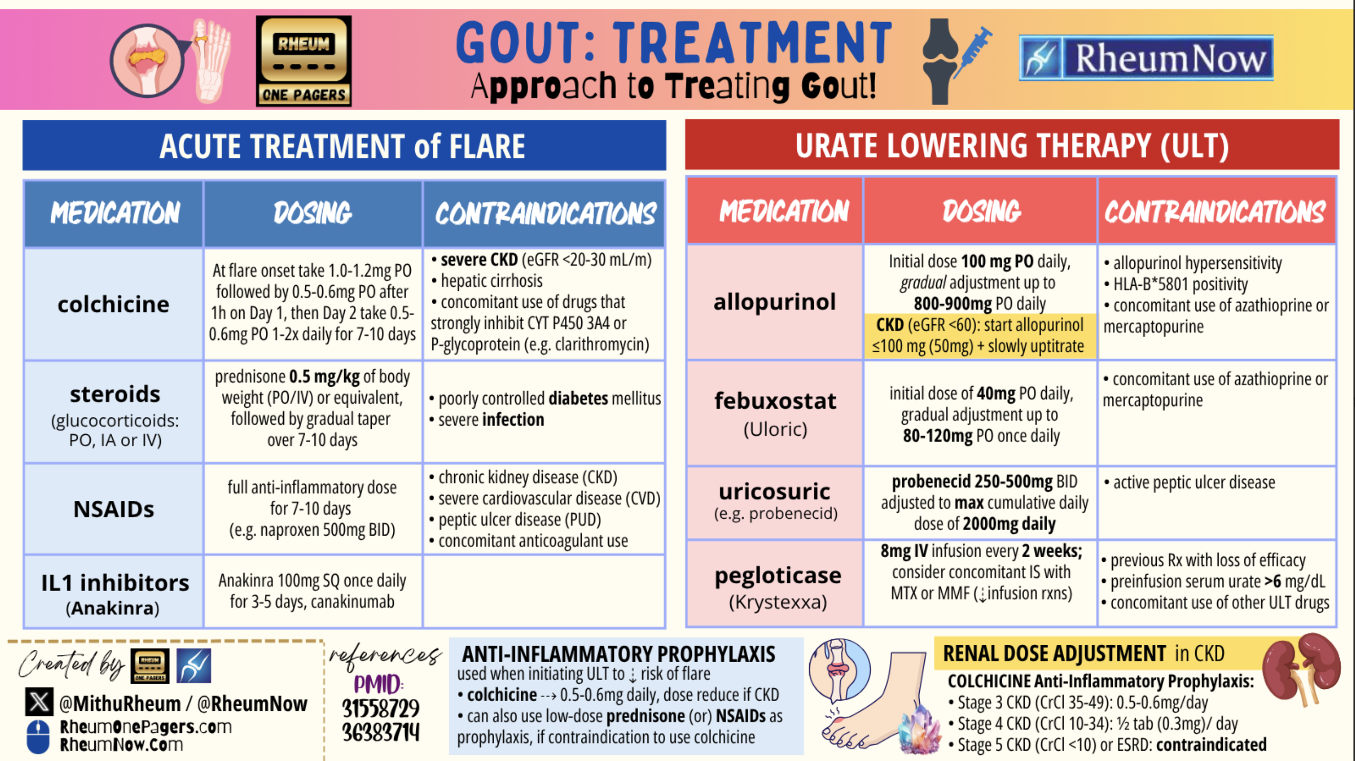 Gout Treatment Cover