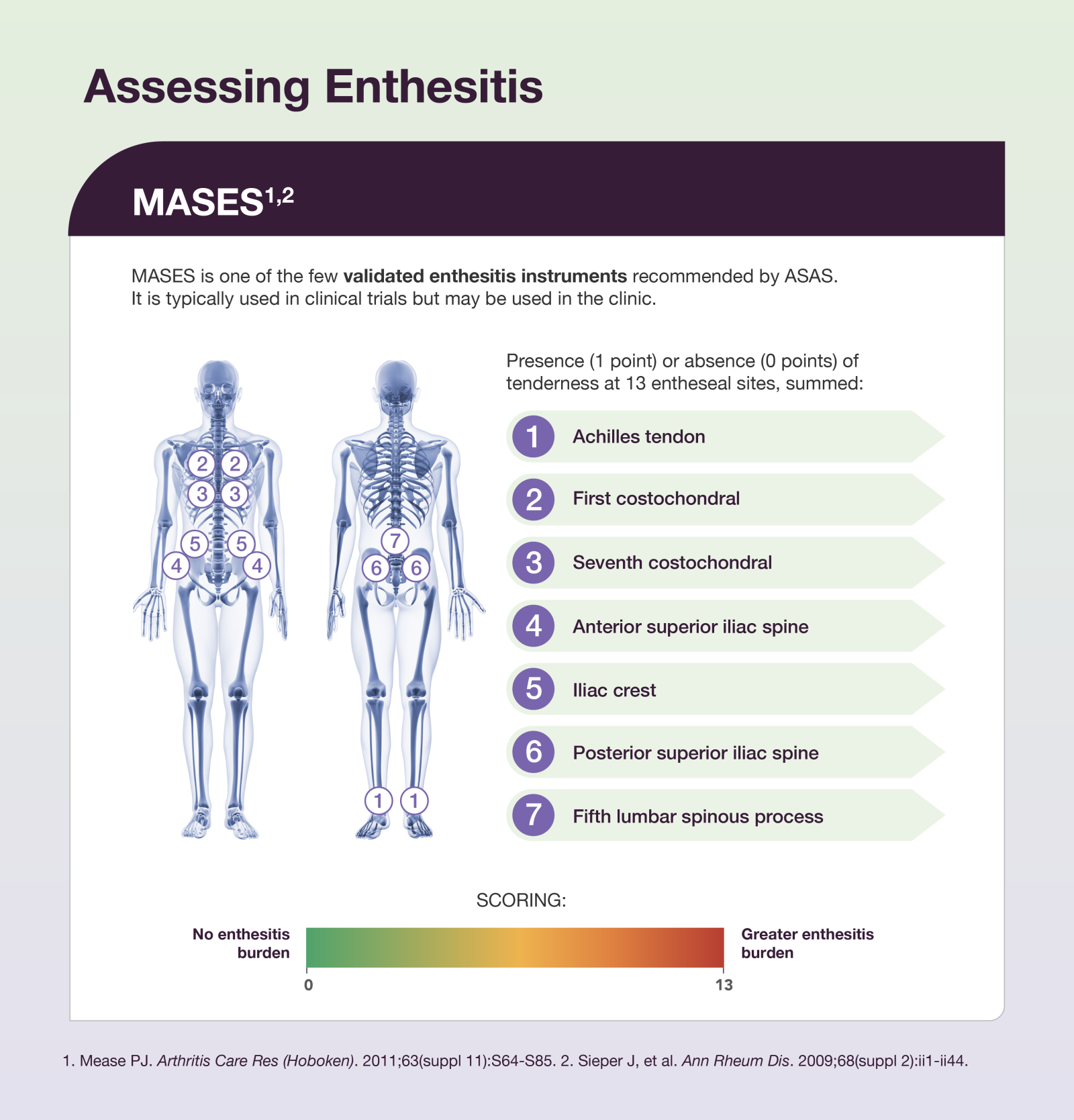 Assessing Enthesitis