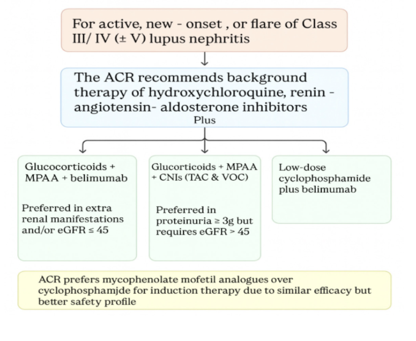 ACR LN guidelines table