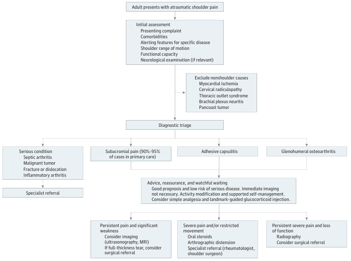 Shoulder algorithm