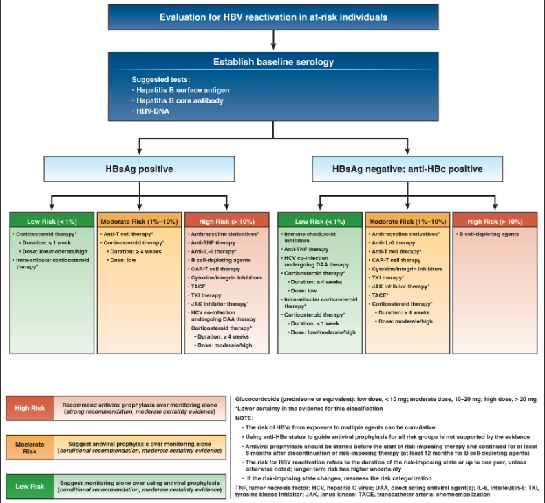 AGA: HBV reactivation prevention