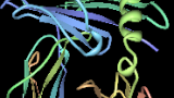 HLA-B%2A2705.png