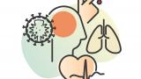 morbidity,covid,heart,lung,brain
