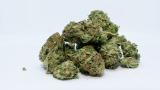 Weed, THC