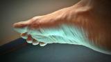 adult foot