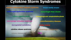 Cytokine storm