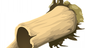 Fracture%20bone.png (keep)