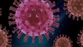 covid coronavirus virus