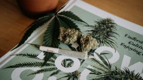 cannabis,weed,marijuana