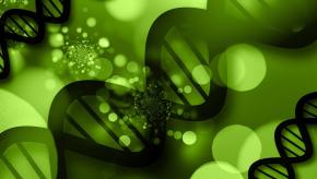 dna