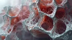 lung.pulmonary.fibrosis.IPF