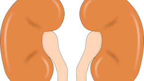 Kidneys small