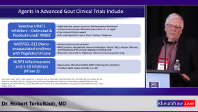 Terkeltaub RNL26 Gout lecture