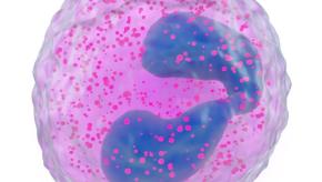 Eosinophil