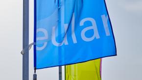 EULAR flags