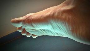 adult foot