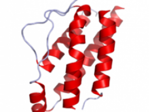 IL-2 inhibitor (keep)