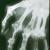 Gout