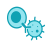 car t icon