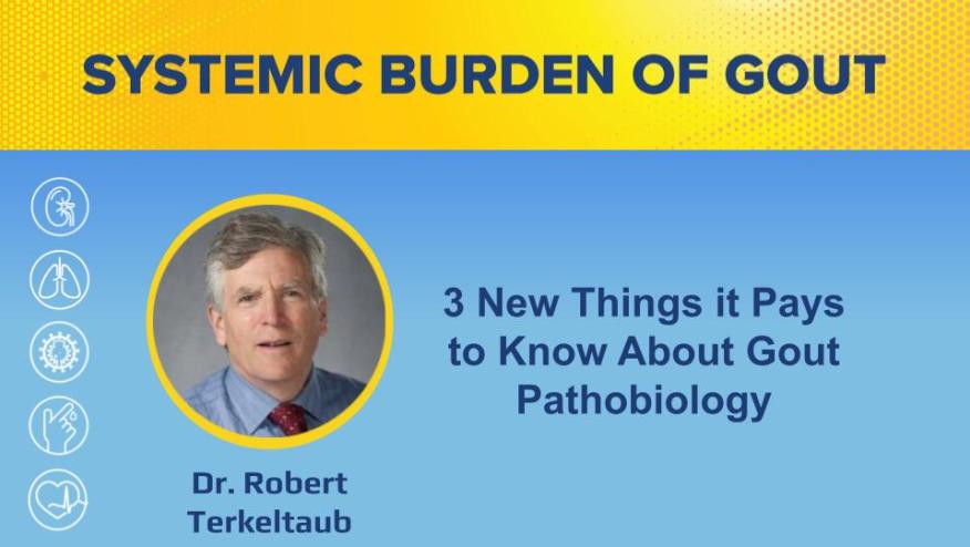 Systemic Burden of Gout
