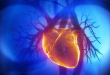 cardiac2.jpg (keep)