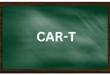 CAR-T