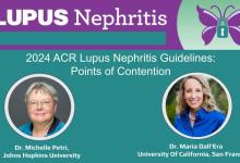 M. Petri and M. Dall'Era Guideline Points of Contention