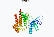 Tyk2.Wikipedia