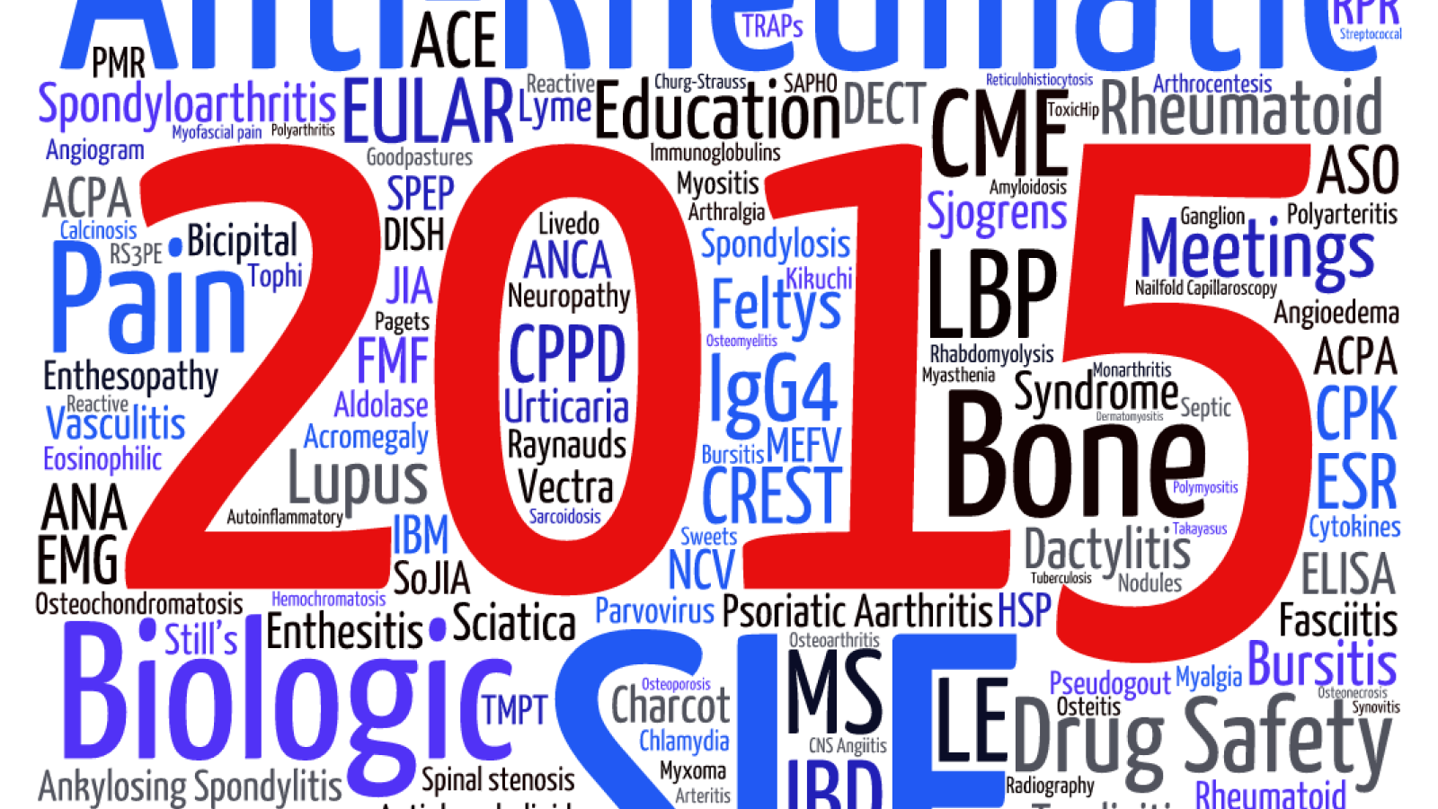 2015%20wordle2_0.png
