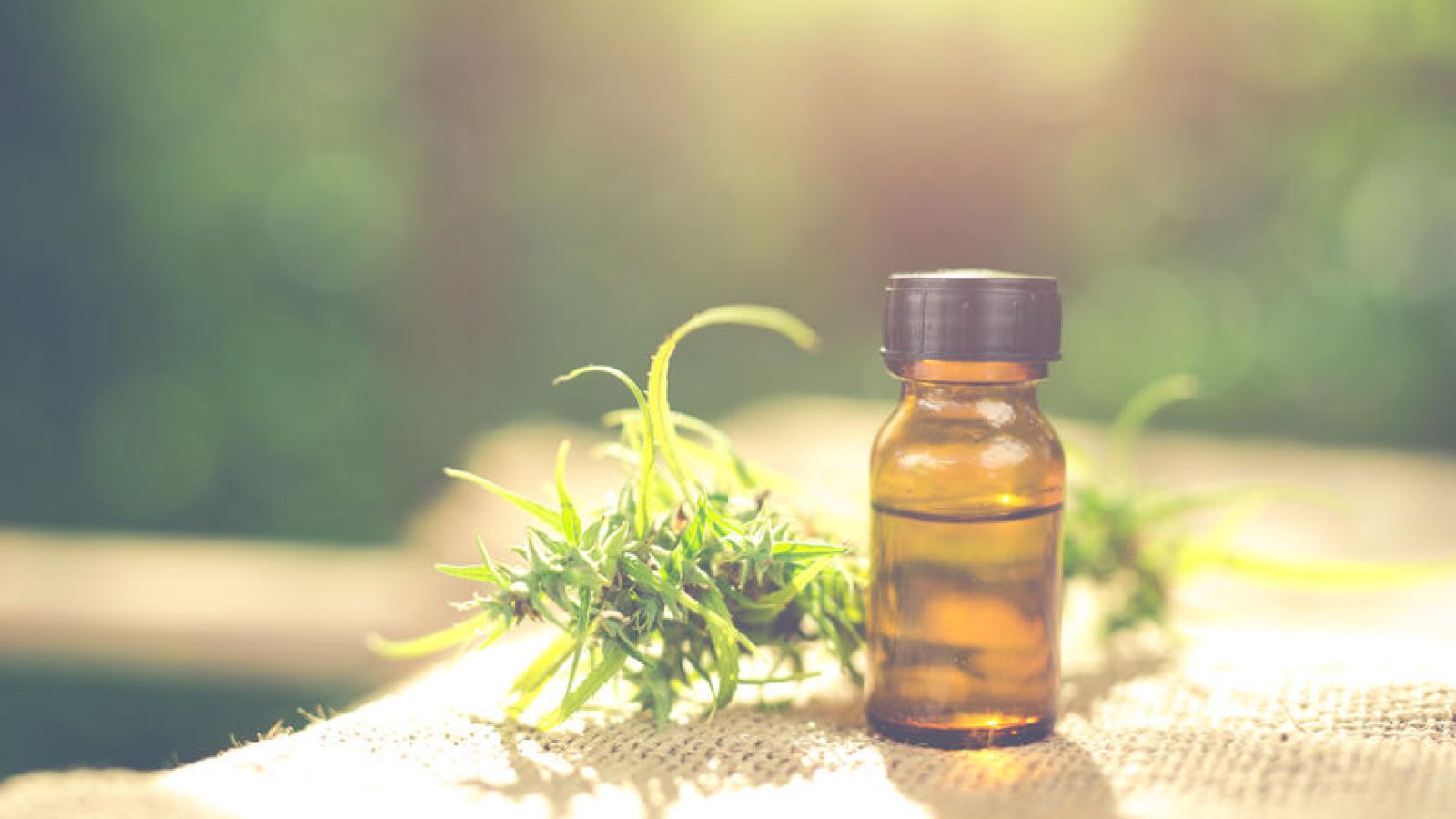 CBD.cannabis.oil_.jpg