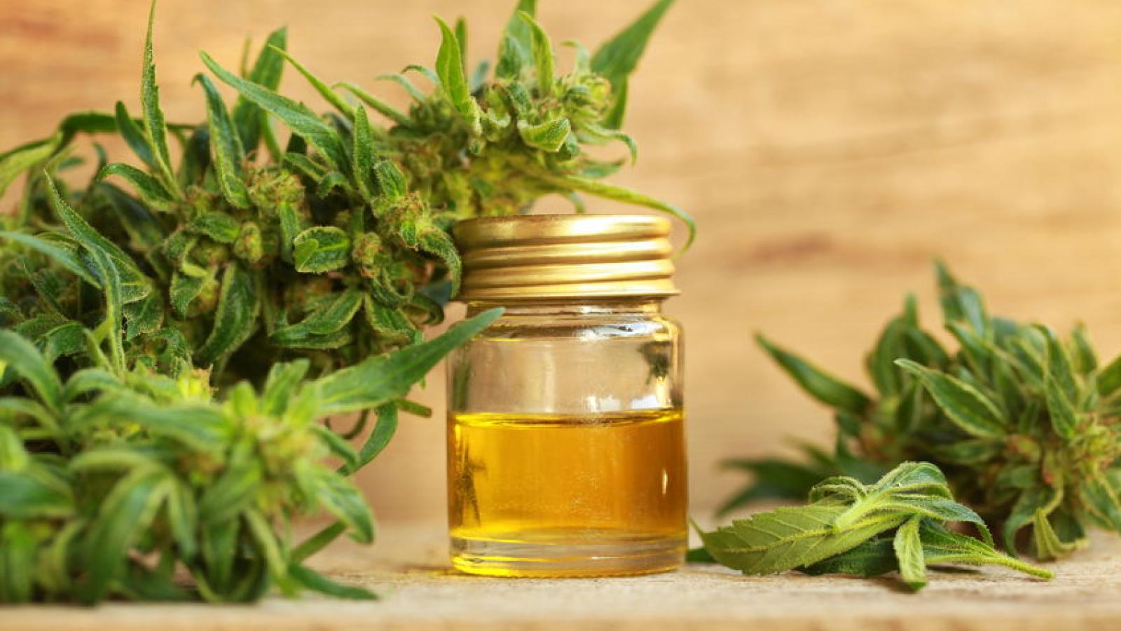 CBD2.hemp_.jpg