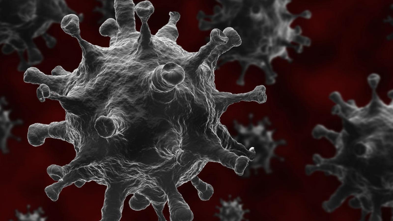 COVID.virus_.corona.jpg (keep)