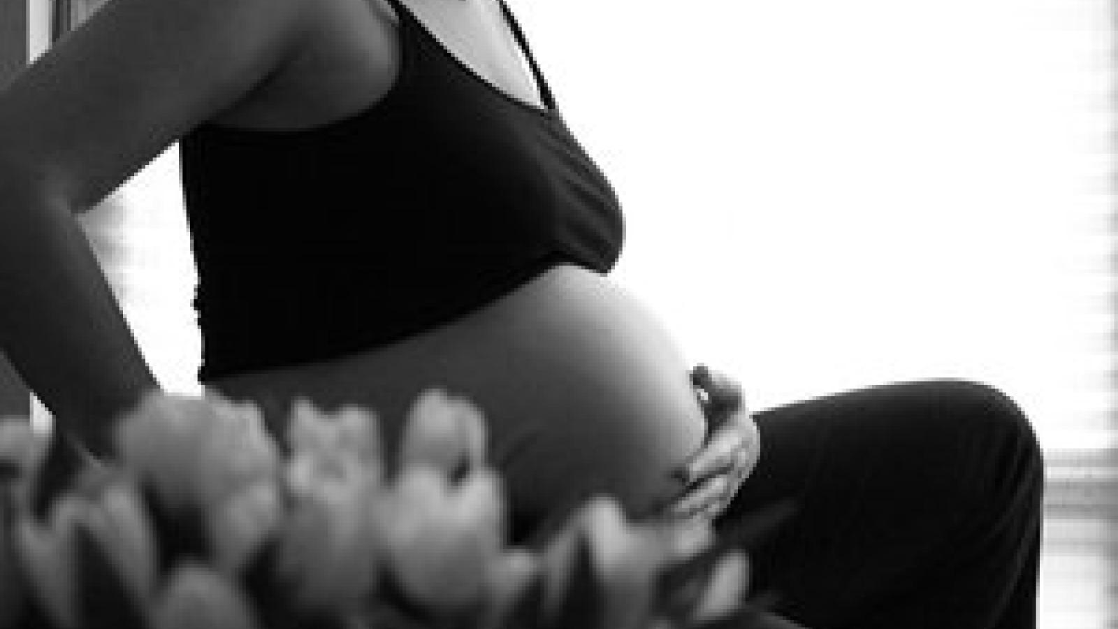 Preg2_0.jpg