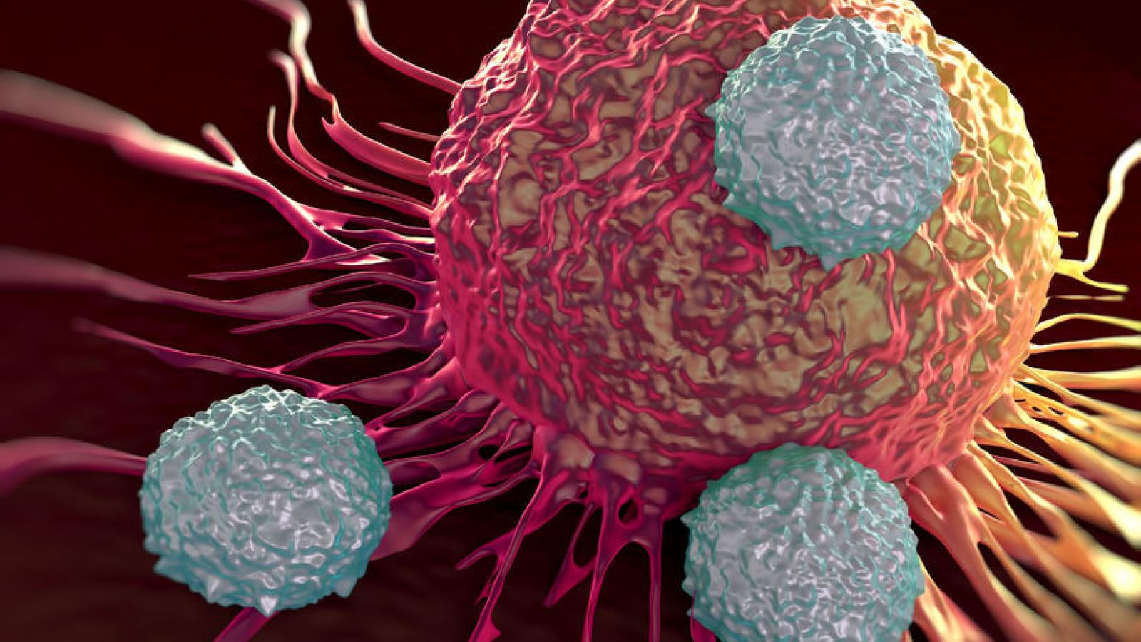T%20cell.cancer.jpg