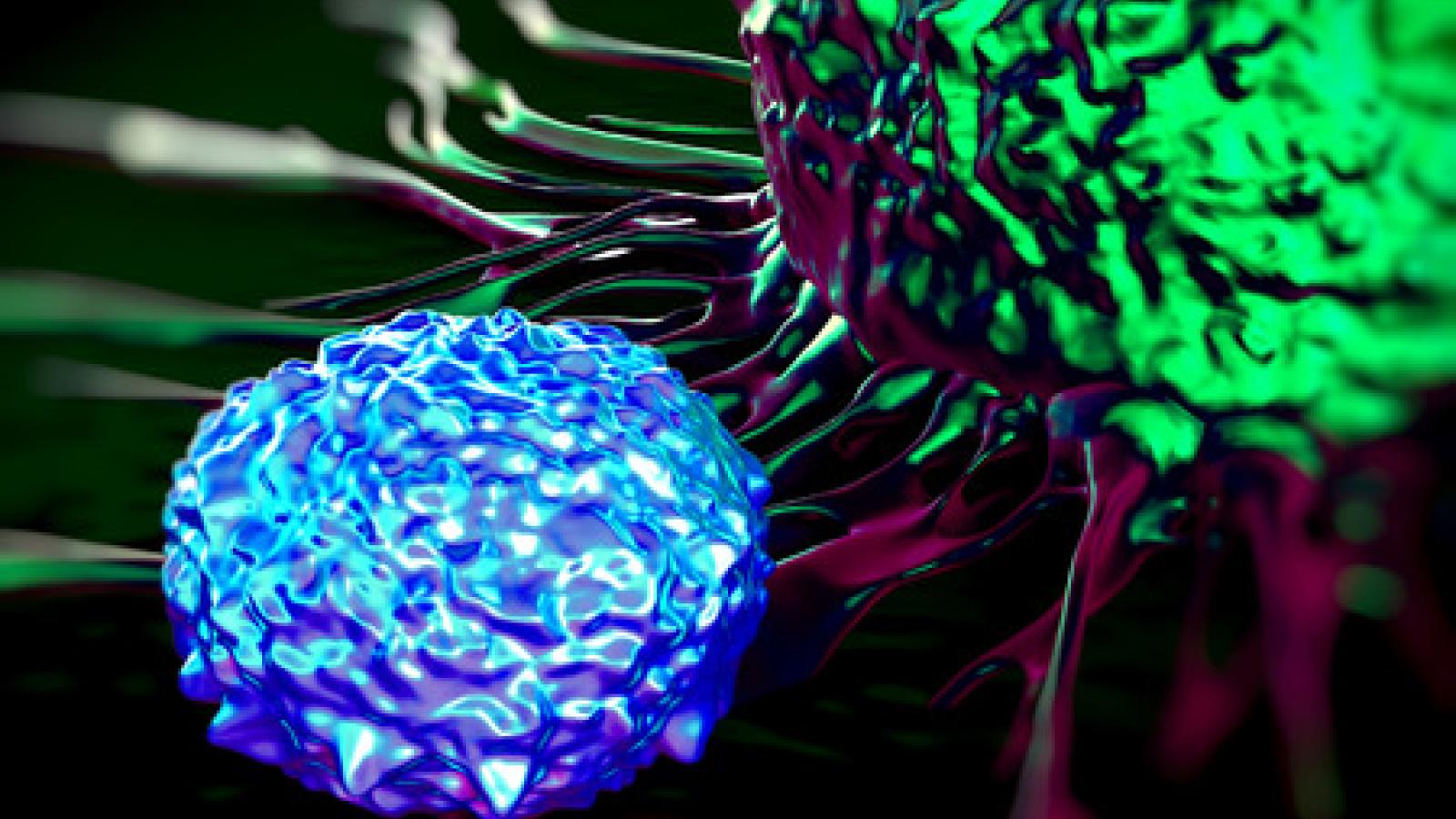 T%20cell.jpg
