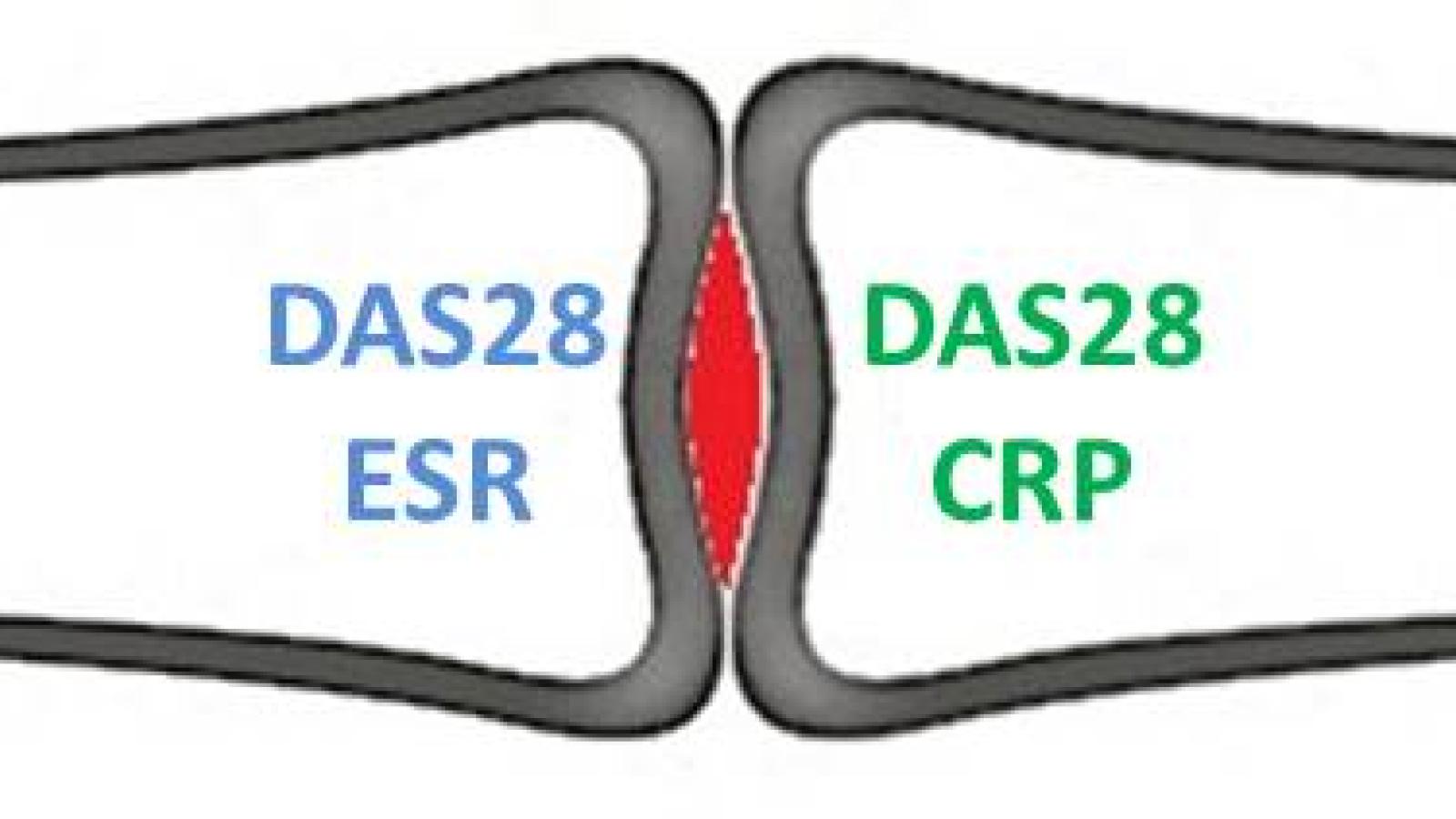 das28.jpg (keep)