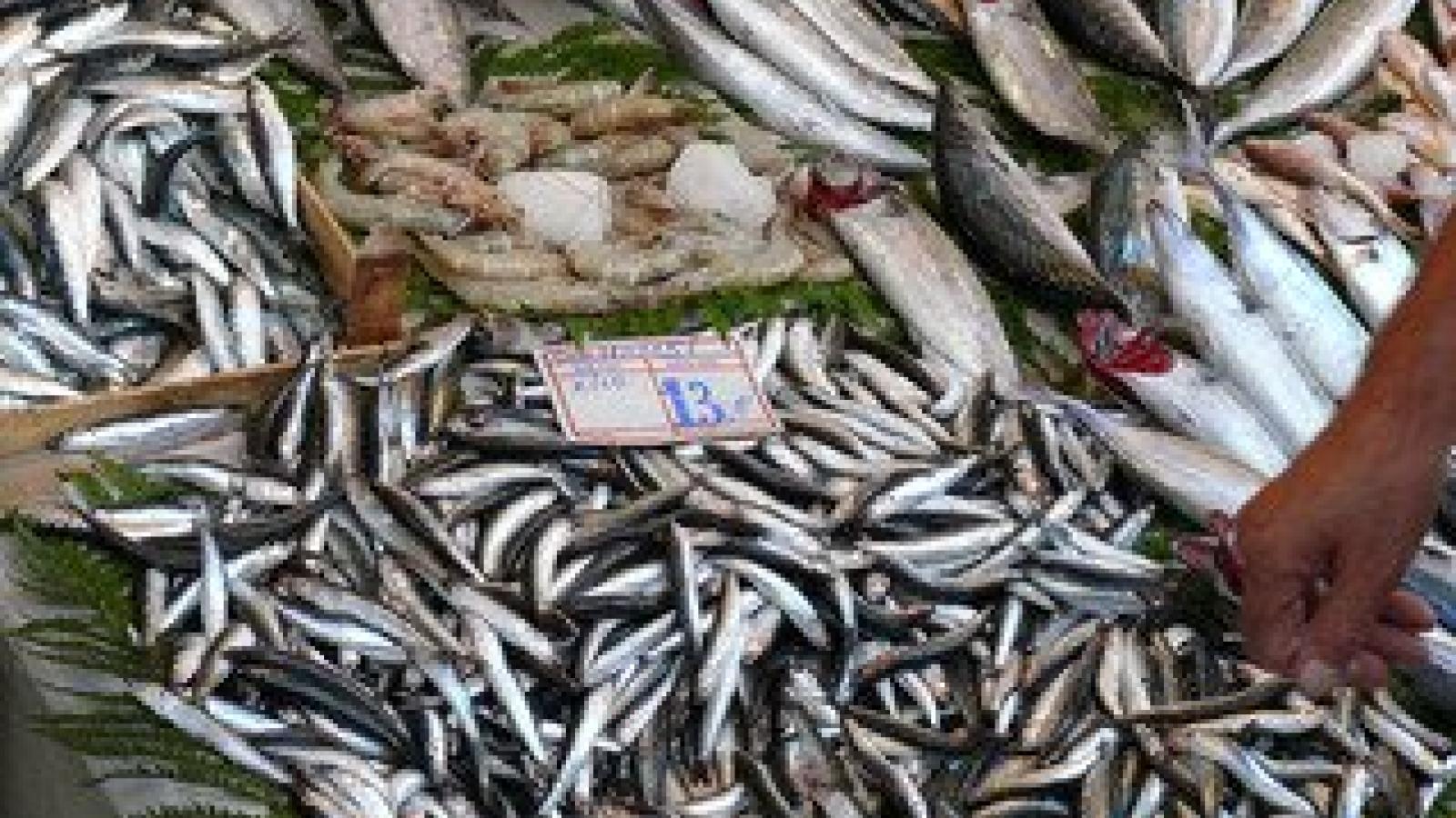fish.omega_.fish%20oil.jpg