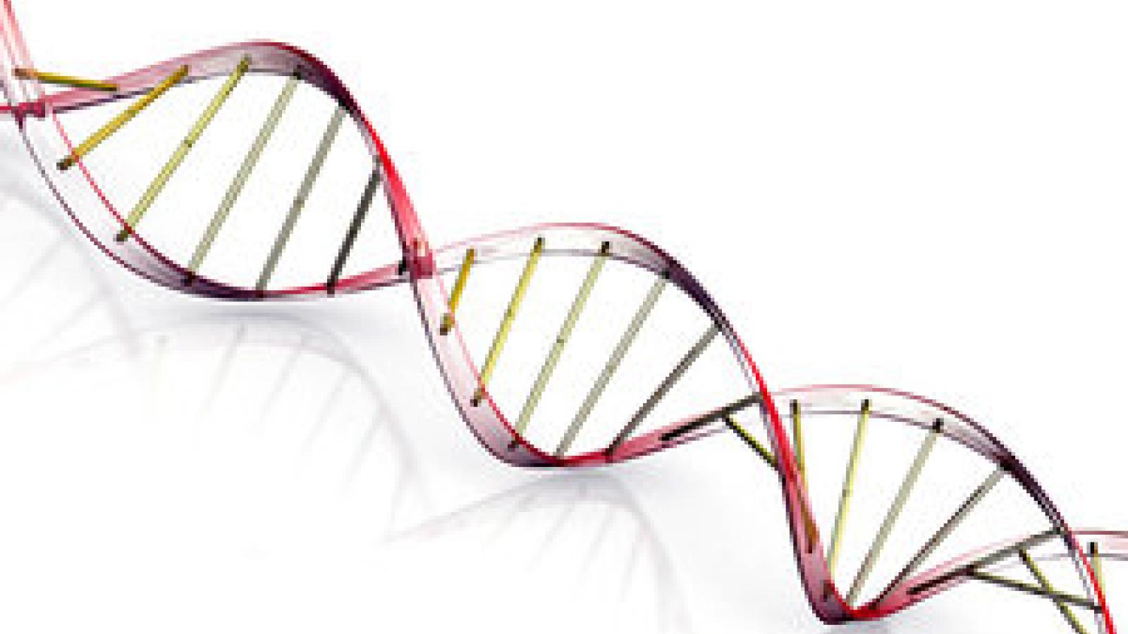 genes.jpg