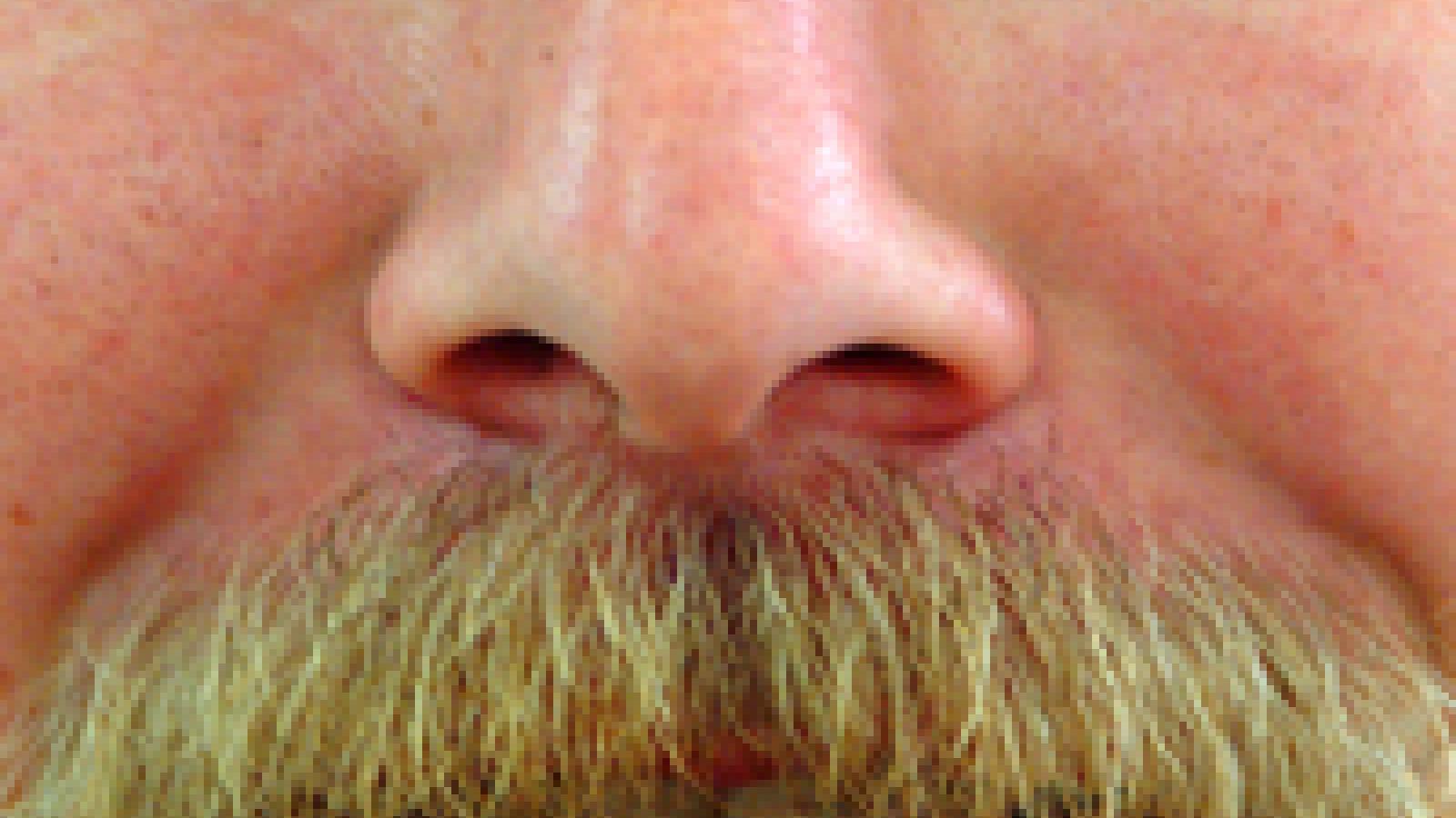 moustache-1455809.jpg