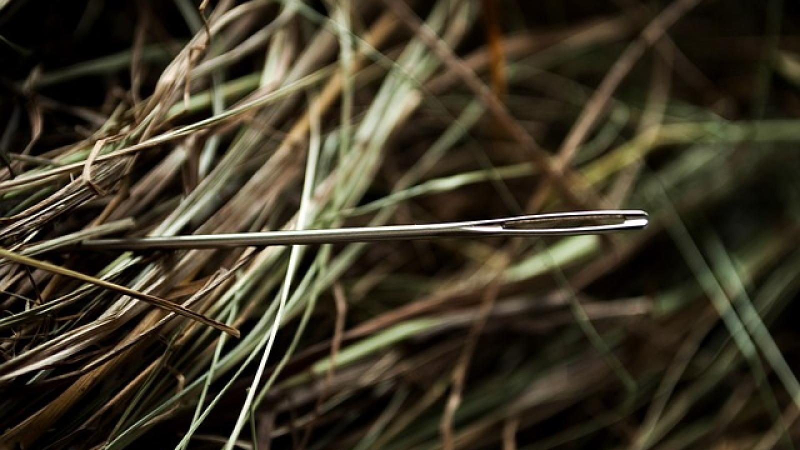 needle-1419606_640.jpg