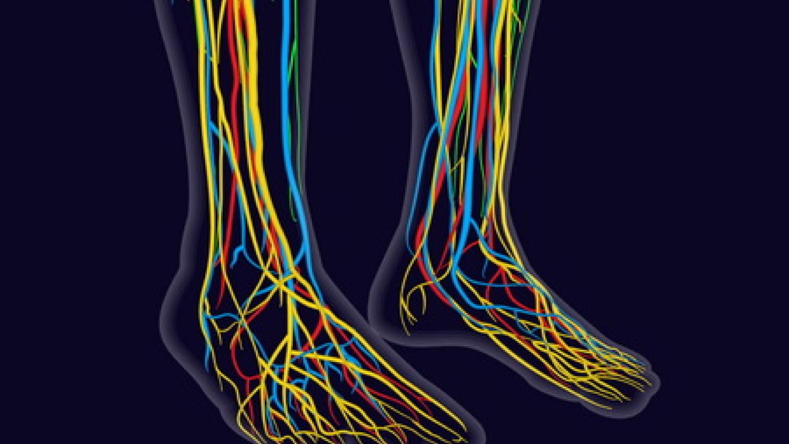 neuropathy.nerve_.jpg