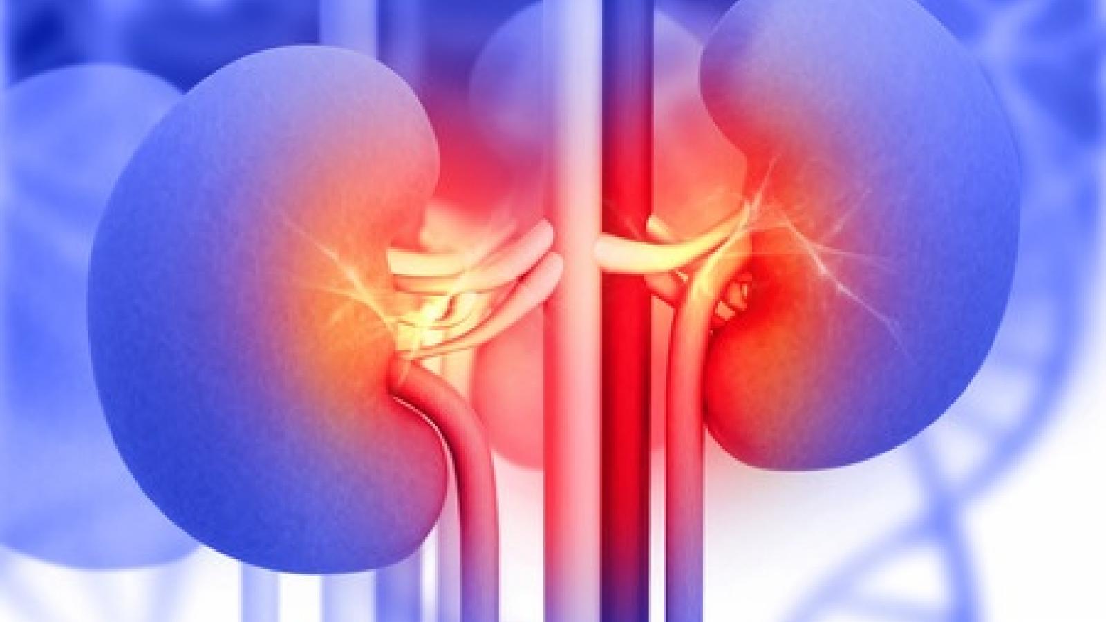 renal.genes_.jpg