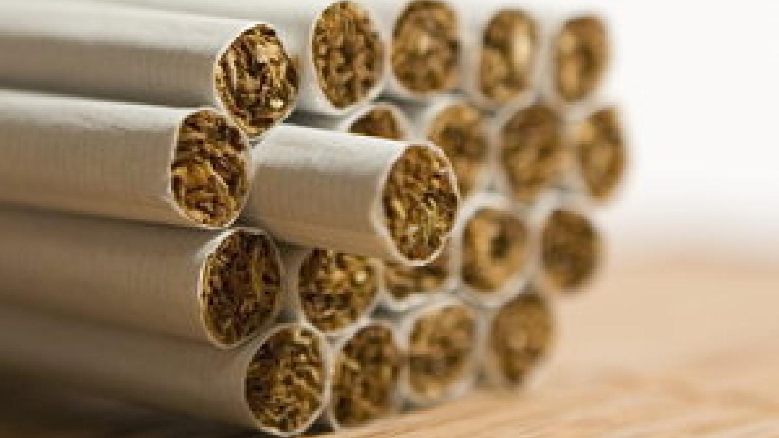 smoke.stack_.jpg