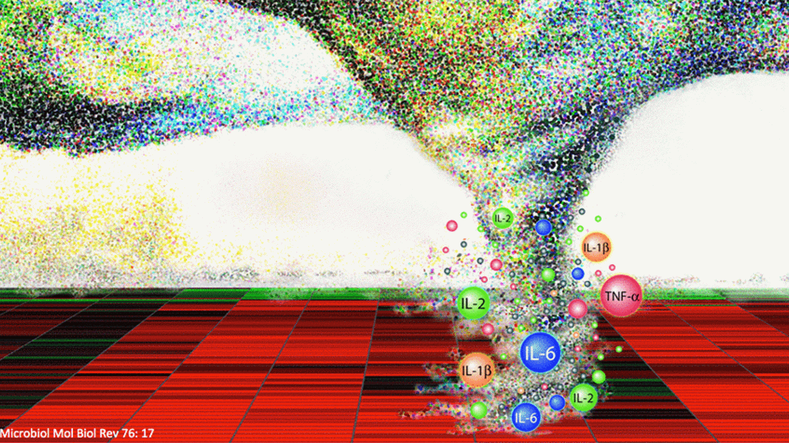 CSS Storm Cytokine