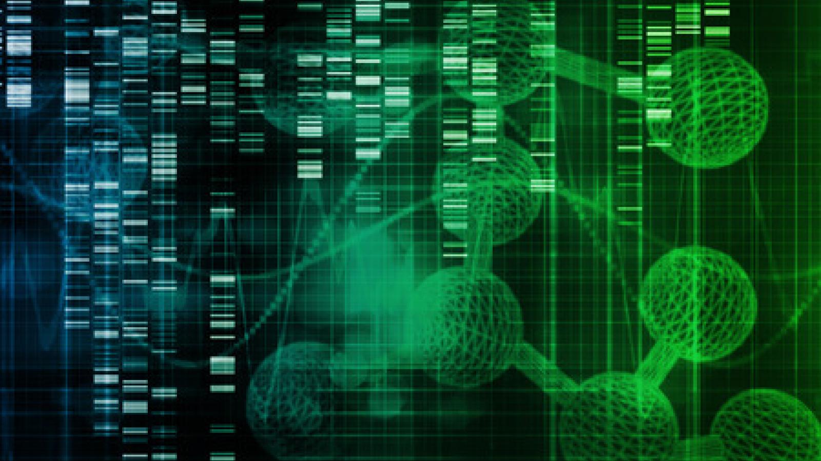 gene signature RNA