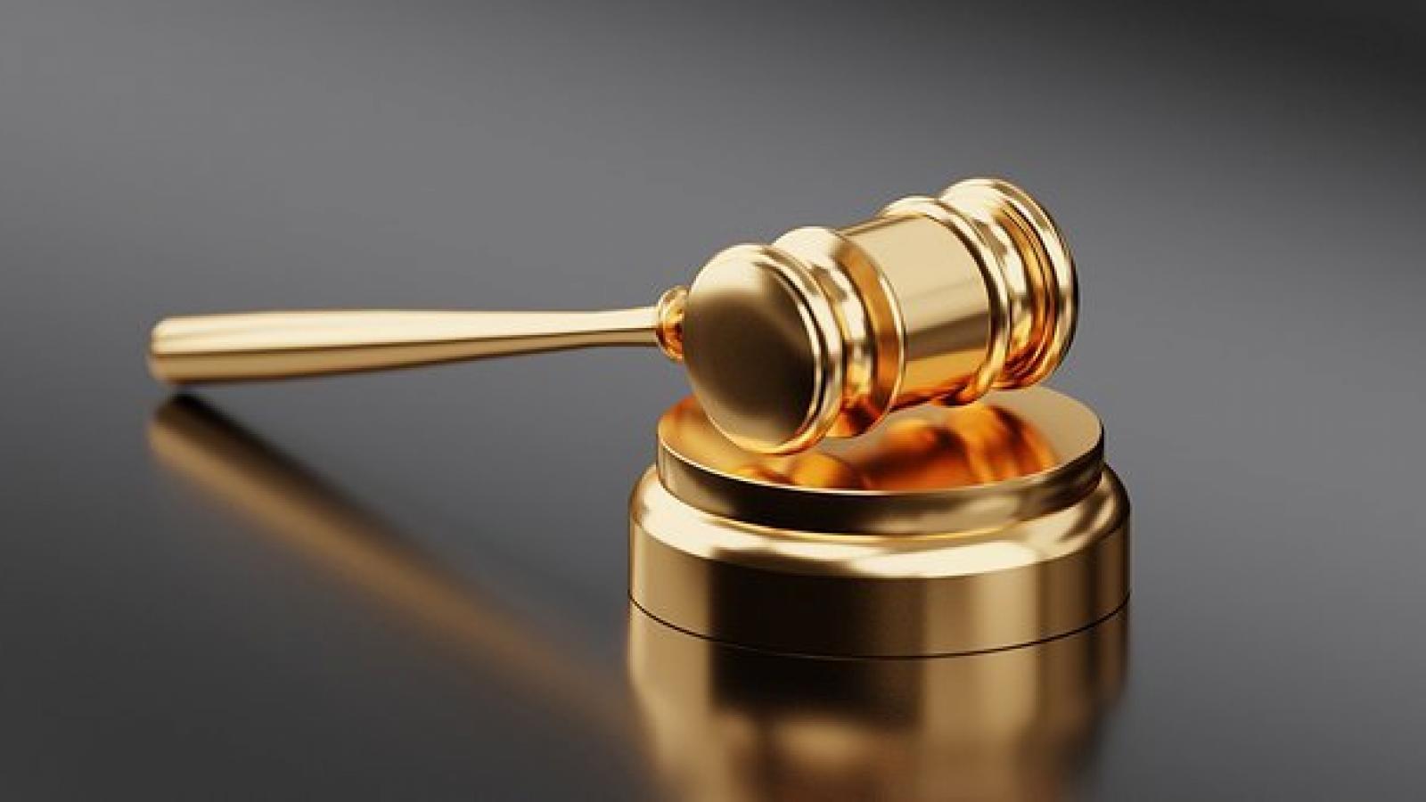 gavel judgement decide gold