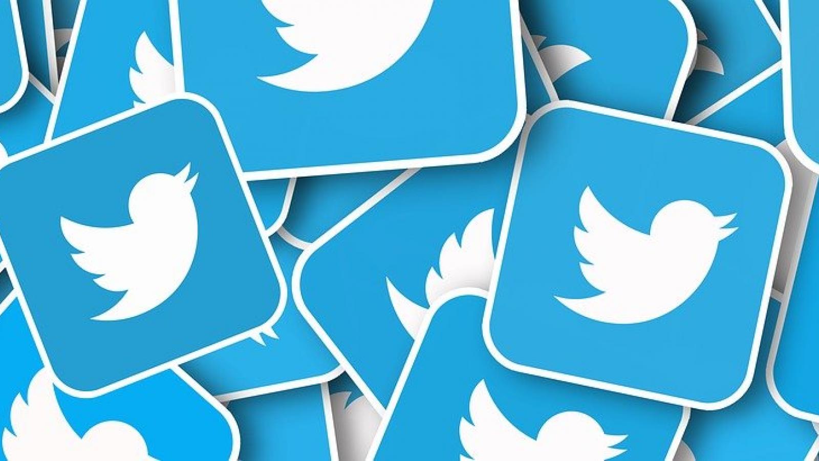 twitter bird social 